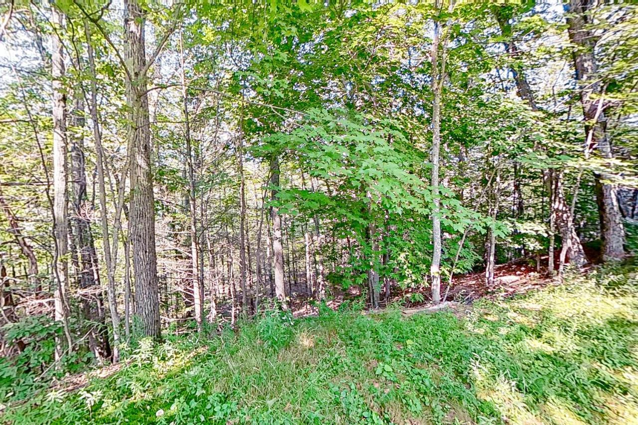 White Mountain Hideaway Apartment North Conway Exterior photo